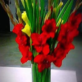 Tall red and yellow gladiolus arrangement in a clear glass vase