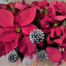 Pink poinsettia arrangement with silver pinecones