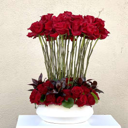 Red Roses Standing