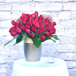 Ruby Red tulips