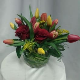 Roses & tulips