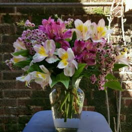Mixed Alstroemeria vase
