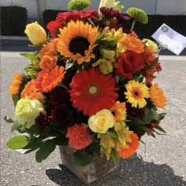 Bright mixed bouquet with sunflowers, roses, and gerbera daisies in a square vase