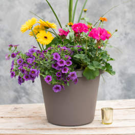 Spring/Summer Patio Pot