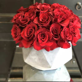 Bouquet of red roses wrapped in white paper