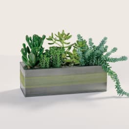 Succulent arrangement in a rectangular metal planter