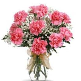 Pink carnations in a clear glass vase with a ribbon bow