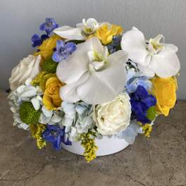 Round bouquet of white orchids, yellow roses, and blue flowers in a white container
