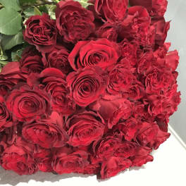 Large bouquet of red roses with green foliage