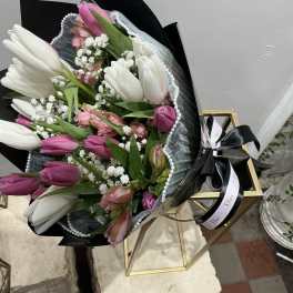 Bouquet of tulips