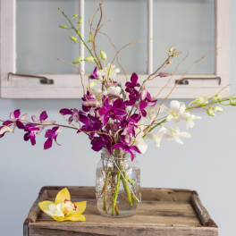 Purple and white orchids in a glass jar with a yellow orchid bloom on a tray