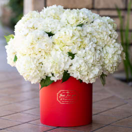 White hydrangea bouquet in a red cylindrical box