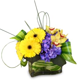 Yellow gerbera daisies with purple hydrangea and yellow orchids in a glass vase