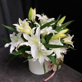 White lilies arranged in a white box with a pink ribbon