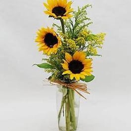 Sunflower arrangement in a clear glass vase with a raffia bow