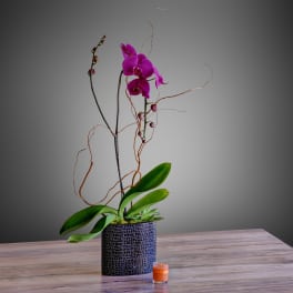 Purple orchid arrangement in a textured black pot with a small orange candle