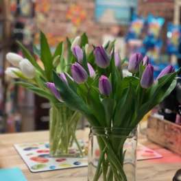Purple and white tulips in clear glass vases on a table