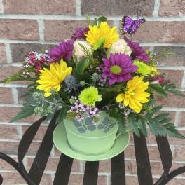 Colorful mixed flower arrangement in a green pot with a butterfly pick