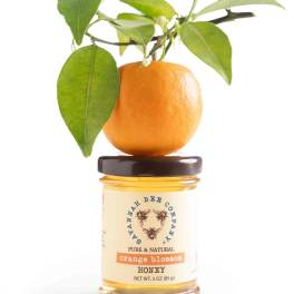 Orange blossom honey jar topped with an orange and leafy branch