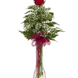 Single red rose in a clear glass vase with a pink ribbon