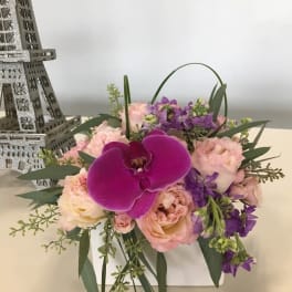 Pink and purple bouquet with a large orchid bloom in a white box