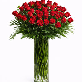 Tall vase of red roses with greenery