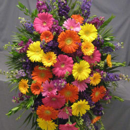 Bright mixed gerbera bouquet with purple filler flowers