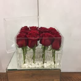Red roses arranged in a clear acrylic box with white stones