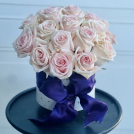 Bouquet of pale pink roses tied with a purple ribbon