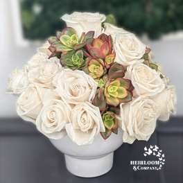 White roses and colorful succulents arranged in a white vase