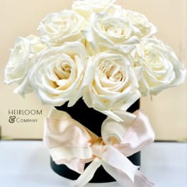 White roses arranged in a black box with a pale satin bow