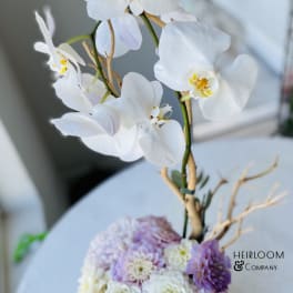 White orchids above a pastel pink and lavender floral arrangement in a white vase