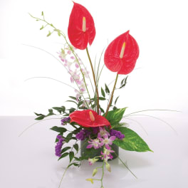 Arrangement with red anthuriums and pink orchids in a dark vase