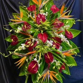 Tropical bouquet with red anthuriums, bird of paradise, and white orchids