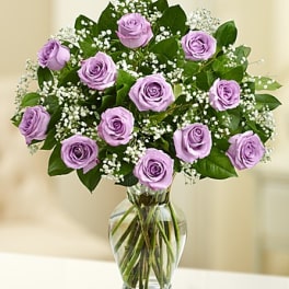 Rose Elegance Premium Long Stem Purple Roses 12 OR 24 OR 36