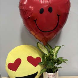 Heart-shaped red balloon, emoji pillow, and potted plant in a decorative mug