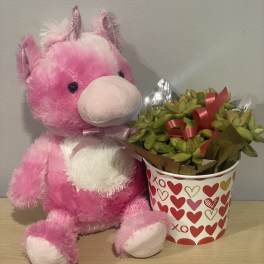 Pink plush unicorn beside a heart-patterned pot of succulents