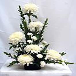Tall white floral arrangement with large blooms in a black container
