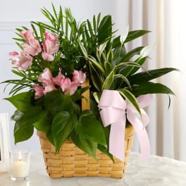 Pink flowers in a woven basket with a pink ribbon