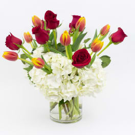 Red roses and orange tulips in a clear glass vase with white hydrangeas