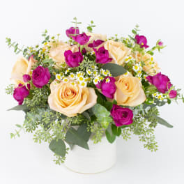 Bouquet of peach and magenta roses in a white vase