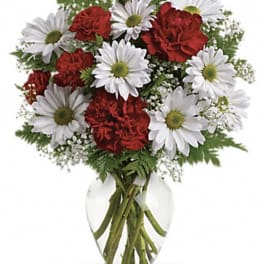 Red carnations and white daisies in a clear glass vase