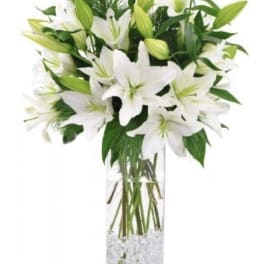Lucious Lilies