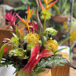 Tropical arrangement with orange heliconia and red anthurium in a low container