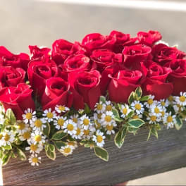 Red roses arranged in a rectangular box with small white daisies