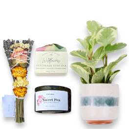 Gift set with a dried flower bouquet, soap bar, candle, and potted plant