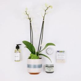 Potted orchid with bath and body gift items
