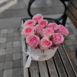 Pink roses arranged in a white round box with a ribbon