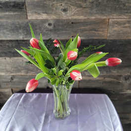 Pink and white tulips arranged in a clear glass vase on a draped table