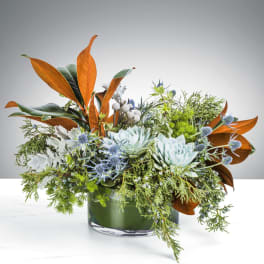 Low succulent and thistle arrangement with copper leaves in a glass cylinder vase